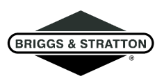 Briggs & Stratton